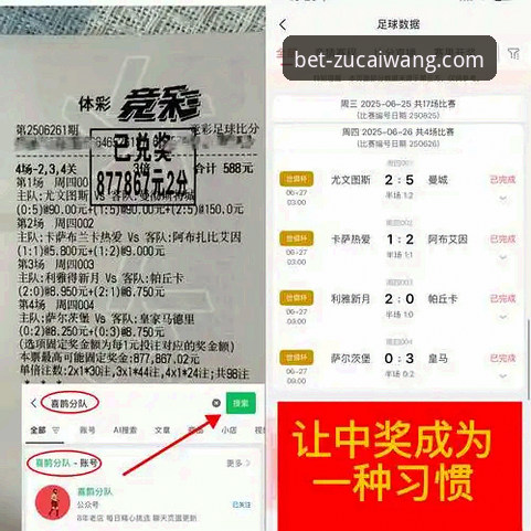从湖人险胜步行者，看足彩网竞彩官网官方安装教程如何提升观赛分析深度